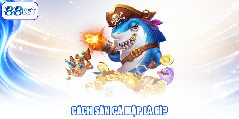 Cách Săn Cá Mập Là Gì?